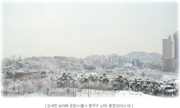 눈내린 보라매 공원(서울시 동작구 소재) 풍경(2010.3.10)