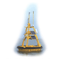 Marine Meteorological Observation Buoy